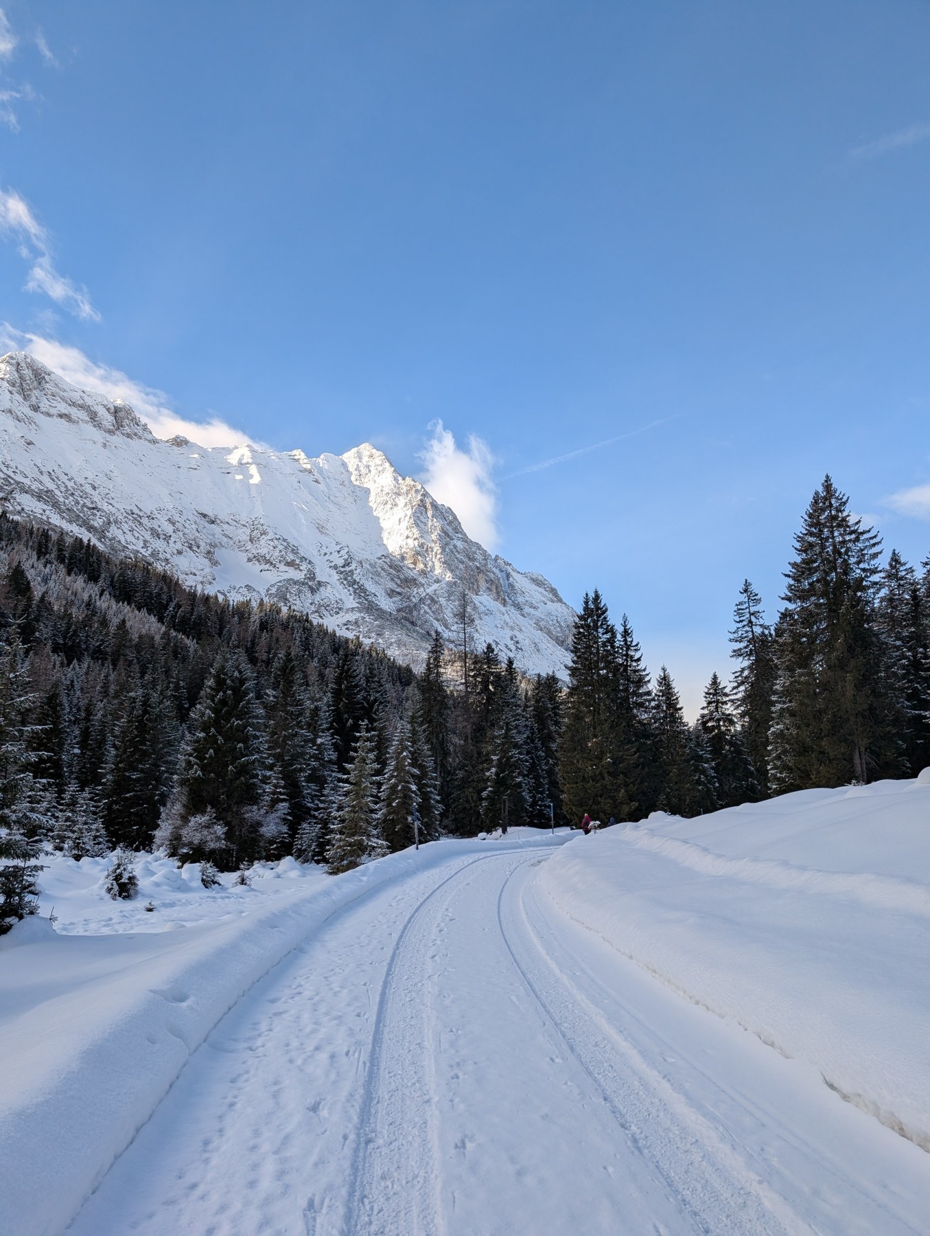 Verschneiter Forstweg beim Zustieg Richtung Gaistal und Breitenkopfhütte.