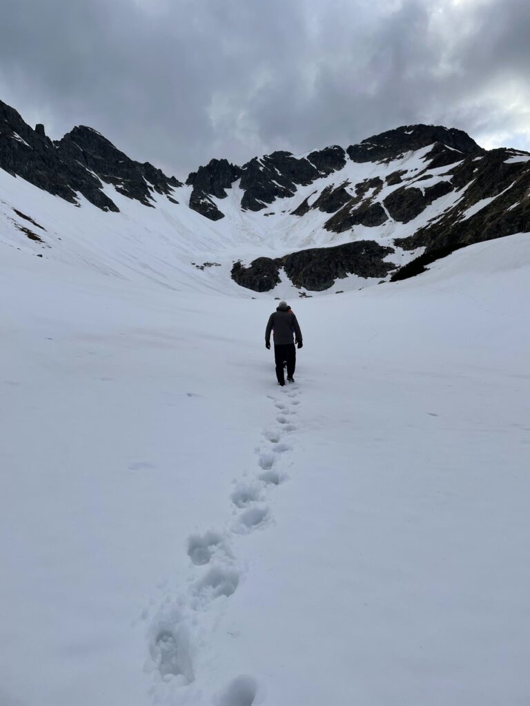Einzelne Person weit entfernt auf Schneespuren