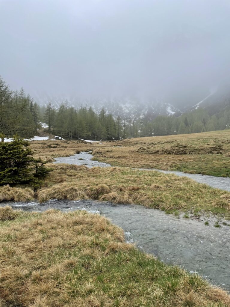 Nebliger Bachlauf auf der Alm beim Abstieg