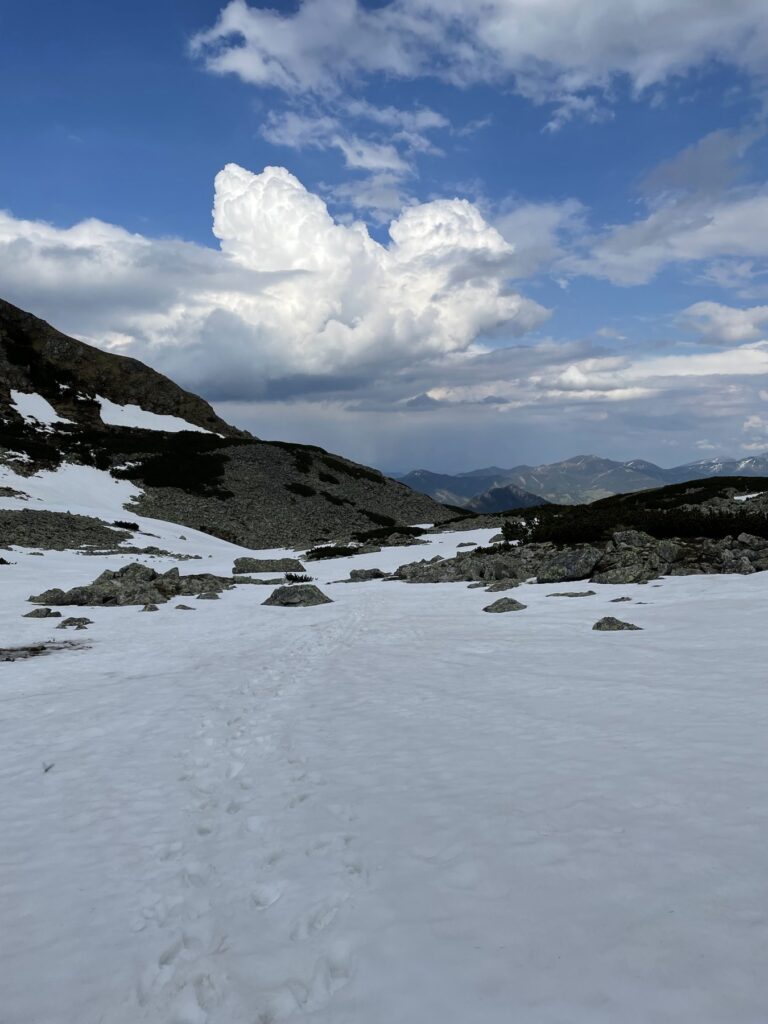 Schneefeld mit Bergkulisse ohne erkennbare Personen